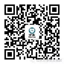半岛网页版页面